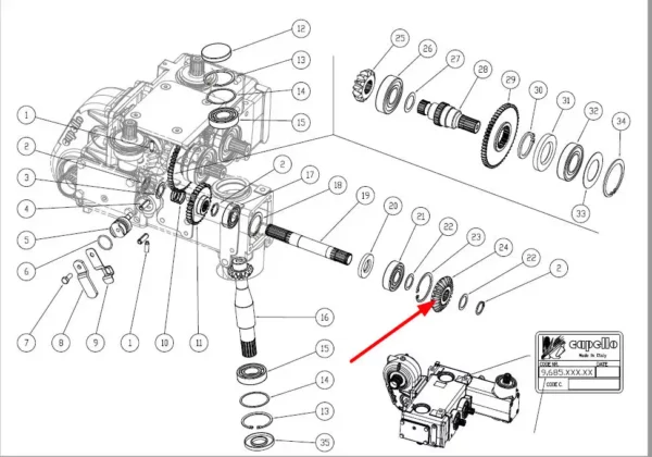 Oryginalne koło zębate przekładni  21 zębów, stosowane w przystawkach kukurydzy marki capello schemat.