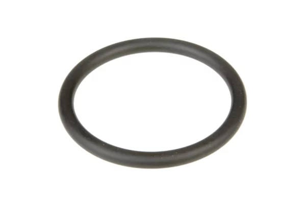 Oryginalny pierścień oring pompy wody o wymiarach 48 x 5 mm i numerze katalogowym F119200610030