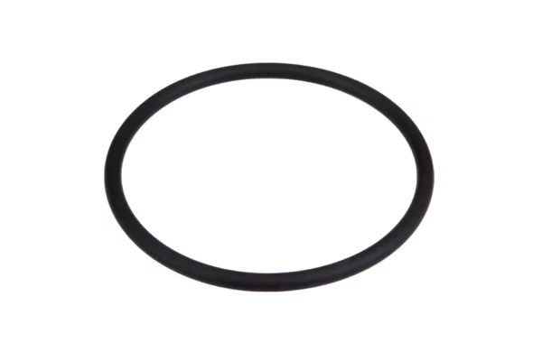 Oryginalny pierścień o-ring o wymiarach 67 x 4 mm i numerze katalogowym X548950400000