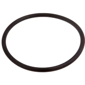 Oryginalny pierścień oring o numerze katalogowym X549000800000