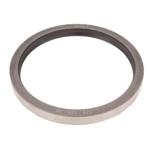 Uszczelniacz zwolnicy przedniej osi o wymiarach 170 x 195 x 18 mm i numerze katalogowym 6408-1.01