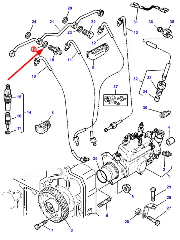 Oryginalny uszczelniacz śruby przelotowej o wymiarach 5,5 x 10 x 1, stosowany w maszynach marki Massey Ferguson. schemat