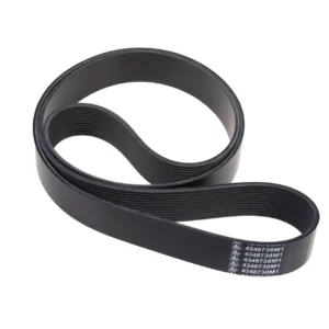 Oryginalny pasek klinowy wielorowkowy alternatora o wymiarach 12 PK x 2040 mm i numerze katalogowym 4348738M1