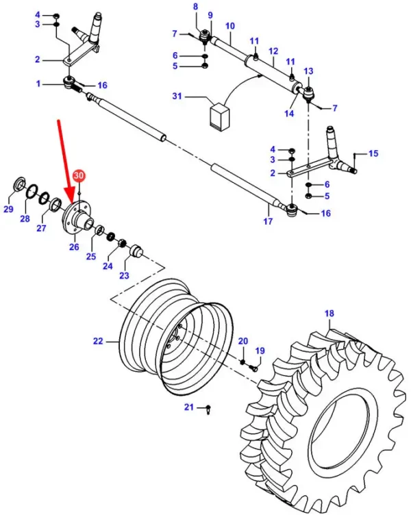 Oryginalny smarownik tylnego koła o numerze katalogowym D43000300, stosowany w kombajnach zbożowych marki Fendt oraz Massey Ferguson schemat.