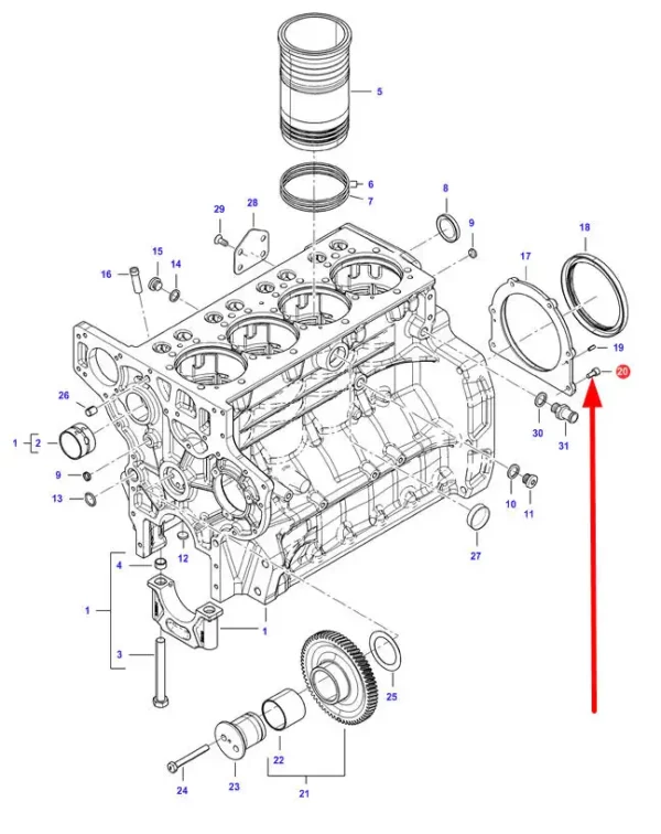 Oryginalna śruba imbusowa montowana w bloku cylindrów o rozmiarach M8 x 16, stosowana w ciągnikach rolniczych marki Challenger, Laverda, Fendt oraz Massey Ferguson schemat