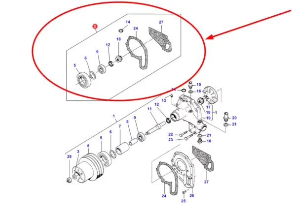 Oryginalny zestaw naprawczy pompy wody, stosowany w ciągnikach rolniczych marki Challenger i Massey Ferguson schemat.