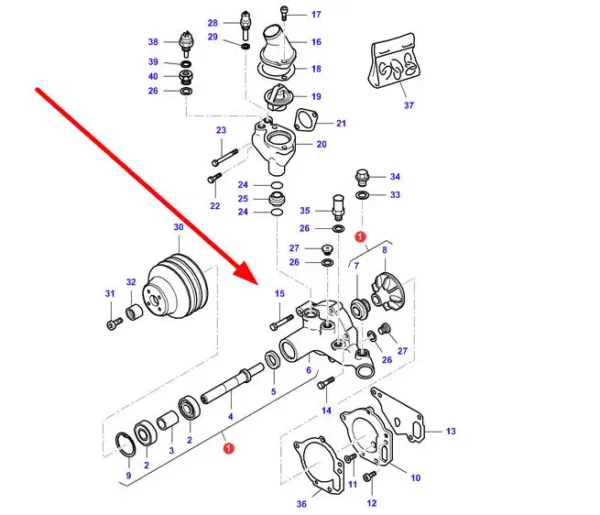 Oryginalna pompa wody o numerze katalogowym V836764215, stosowana w ciągnikach rolniczych marki Massey Ferguson schemat