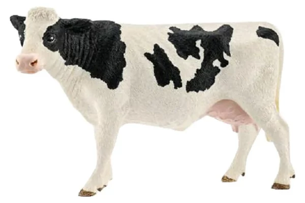 Krowa Holstein