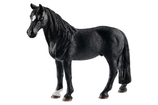 Wałach Tennessee Walker