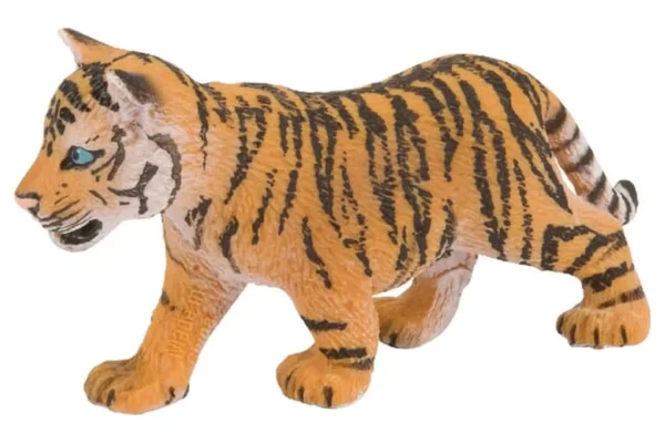 Młody tygrys bengalski