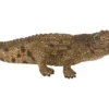 Krokodyl