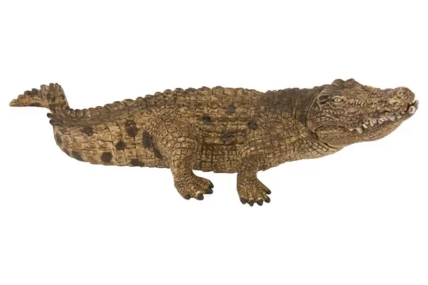 Krokodyl