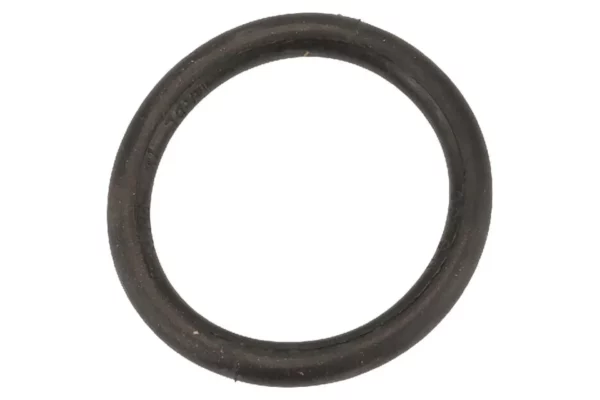 Pierścień uszczelniający o-ring do złącz żeńskich 6" 170x19mm Kramp