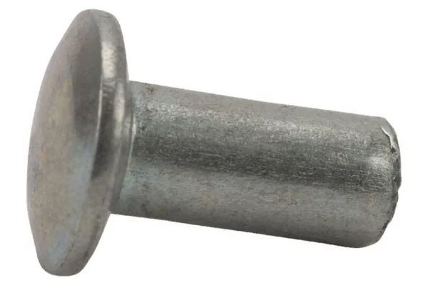 Nit
