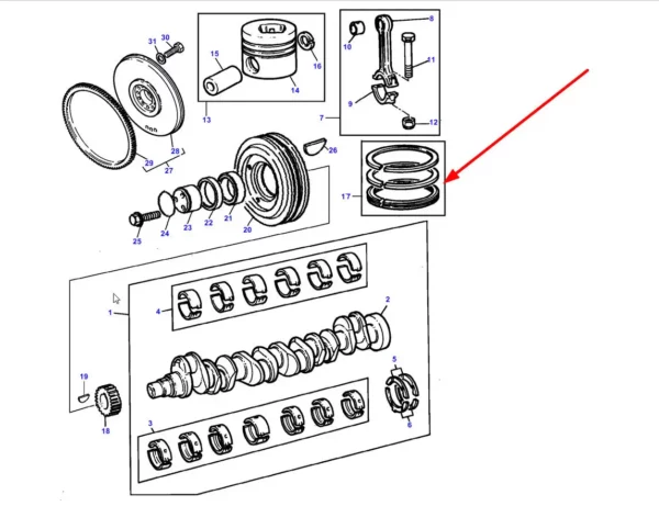 Komplet pierścieni tłokowych o numerze katalogowym 3637033M91, stosowany w silnikach ciągników rolniczych marki Massey Ferguson schemat