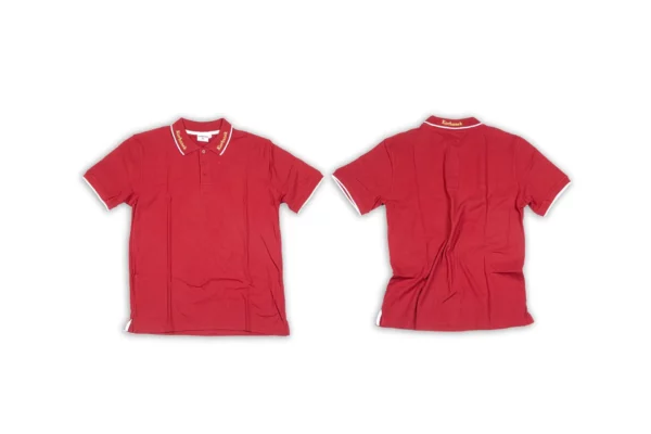 Koszulka Polo kolor bordowy 72/20 rozmiar L o numerze katalogowym 42280-72/20-L