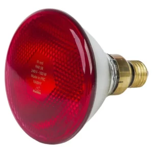 Promiennik PAR 175W czerwony Farma