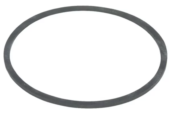 O-ring