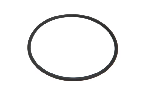 Oryginalny pierścień oring o wymiarach 74 x 3 mm i numerze katalogowym X548957666000