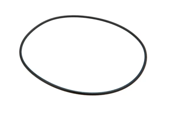 Oryginalny pierścień oring o wymiarach 113 x 2.56 mm i numerze katalogowym R80078