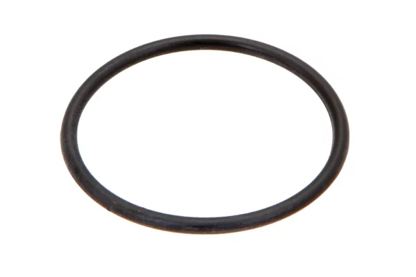 Pierścień oring o wymiarach 22.8 x 1.55 mm i numerze katalogowym ED0012004090-S