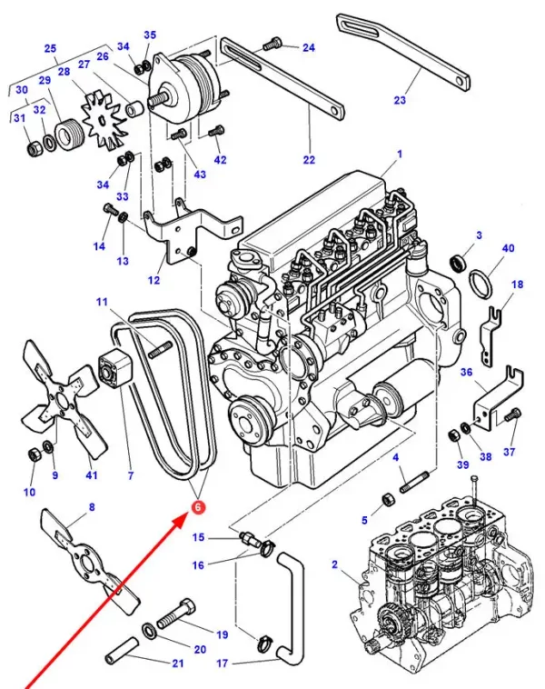 Pasek klinowy, o numerze katalogowym 1005499.01, stosowany w ciągnikach rolniczych marki Massey Ferguson.-schemat