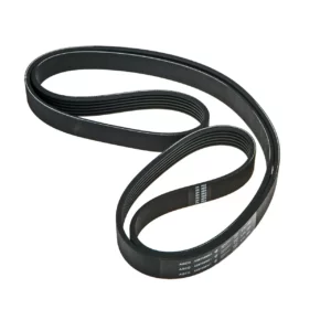 Oryginalny pasek wielorowkowy alternatora o numerze katalogowym V39985300